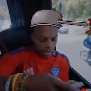 PvZ Memes 3
