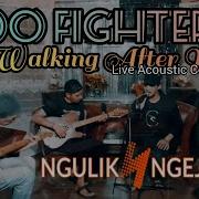 Foo Fighters Walking After You Live Cover