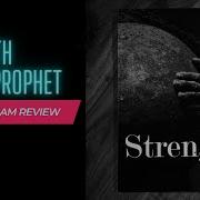 Strength By Nonprophet Program Review