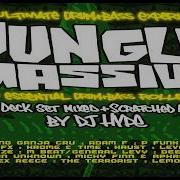 DJ HYPE Jungle Massive 2001 Jungle Drum Bass Scratch Assassin Full Live Set
