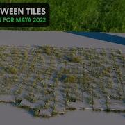 Grass Between Tiles With GraphN Ecotope In Maya