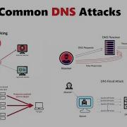 Most Common DNS Attacks Explained DNS Attacks DNS Spoofing DNS Tunnelling DNS Hijacking More