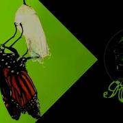 Blind Melon Change Lyrics Letra