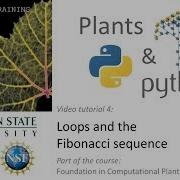 Plants Python Vol 4 Loops And The Fibonacci Sequence