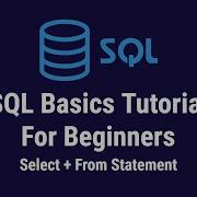 SQL Basics Tutorial For Beginners Select From Statements 2 4