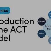 Introduction To The Acceptance Commitment Therapy ACT Model In ONE Minute With Dr Joe Oliver