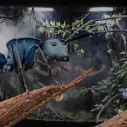 My New Ultra Rare Blue Ant Colony