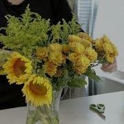 How To Extend The Life Of Cut Flowers