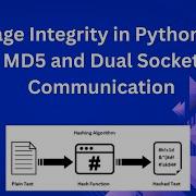 Программирование сокетов на Python Отправка сообщения и хеша MD5 через два сокета