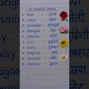 10 Flowers Name In English And Hindi Flowers Name Phoolon Ke Naam फ ल क न म Shorts