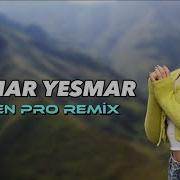 Elsen Pro Yesmar Yesmar Raffet Raffet