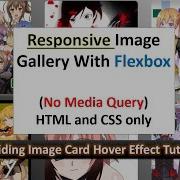 Responsive Image Gallery With Image Card Hover Effect Using HTML And CSS Only Image Hover Effect
