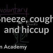 Sneeze Cough And Hiccup Respiratory System Physiology NCLEX RN Khan Academy