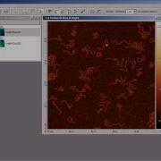 AFM Image Processing Basic Operations Part 2
