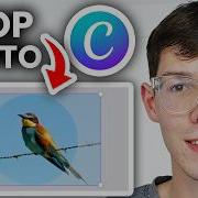 How To Crop Photo Into Circle In Canva Full Guide