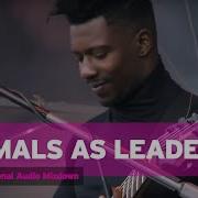 Brutal Assault 21 Animals As Leaders Live 2016