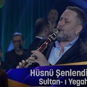 Hüsnü Şenlendirici Sultan ı Yegah
