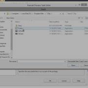 Execute Process Task