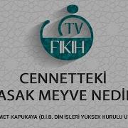 CENNETTEKİ YASAK MEYVE NEDİR MEHMET KAPUKAYA