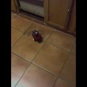 Netduino Robot Mov