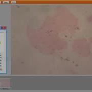 Video Recording In TUCSEN Camera Software