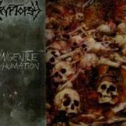Cryptopsy Mutant Christ