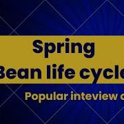 Explain Spring Bean Life Cycle Interview Questions