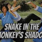 Wu Tang Collection Snake In The Monkey S Shadow Widescreen