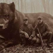 40 Biggest Creatures Ever Spotted On Camera