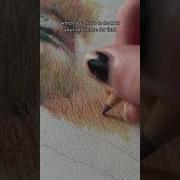 How To Draw Realistic Animal Fur Art Drawing Artandcraft Painting Artdrawing Animal