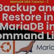 Backup And Restore In MariaDB In Command Line On Ubuntu 24 04 LTS Mariadb Backup Restoration Sql
