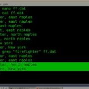 BASH Grep And Cut Commands