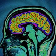What Enlightenment Does To Your Brain