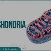 Mitochondria Structure And Function Cell Physiology Medical Animations