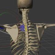 MoBu PoseReader Usage Neill3d Com