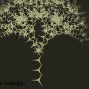 Fractal Tree My First Experiment With Nodebox