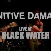Punitive Damage March 8 2020