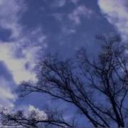 Psalm 1 Sons Of Korah