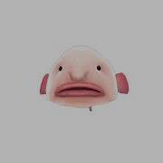 MMD Blob Fish Shadow World DL S