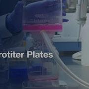 Multicellular Spheroid Formation In Microtiter Plates Protocol Preview