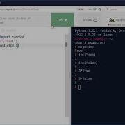 Python 3 Using True And False