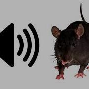 Rat Sound Effect ProSounds