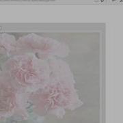 07 Jquery FadeToggle Function