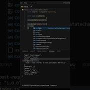How POST Requests Work In Node Js Express Tutorial