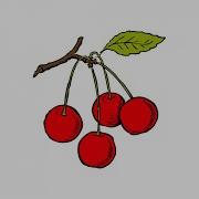 Python Practice Series 69 For Beginners Level 1 Logic Mike Eats Cherry Tutorials Examples