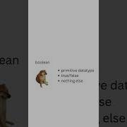 Boolean против Boolean в Java кодирование программирование Java