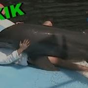 Nagyon Jó Bakik és Vicces Videók 10 TETSZIK 2018