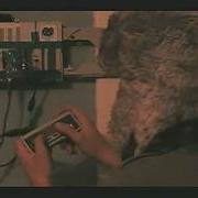 Test Flv