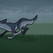 Wolf Running Animation Test