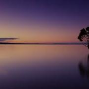 Dr Joe Dispenza Body Part Induction Meditation Week 1 Breaking The Habit Meditation